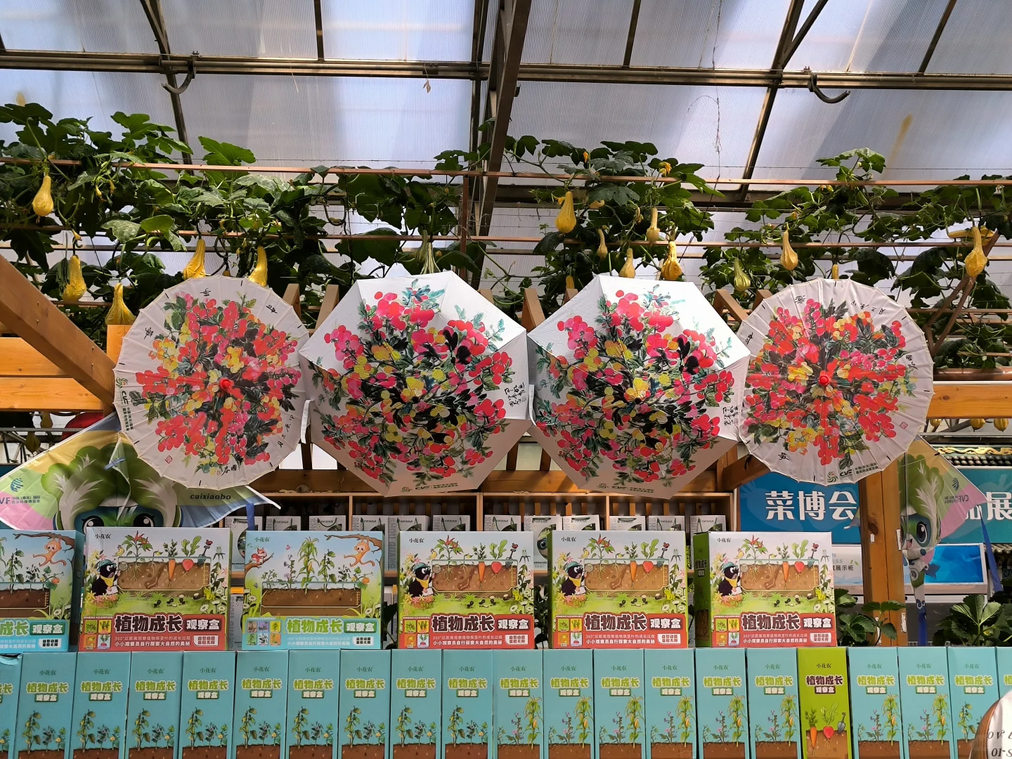 菜博会兼职篇