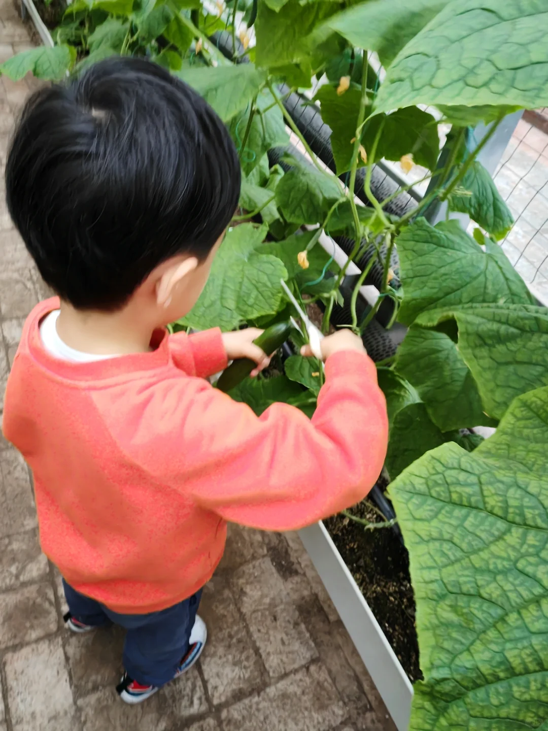 寿光菜博会，我们来啦