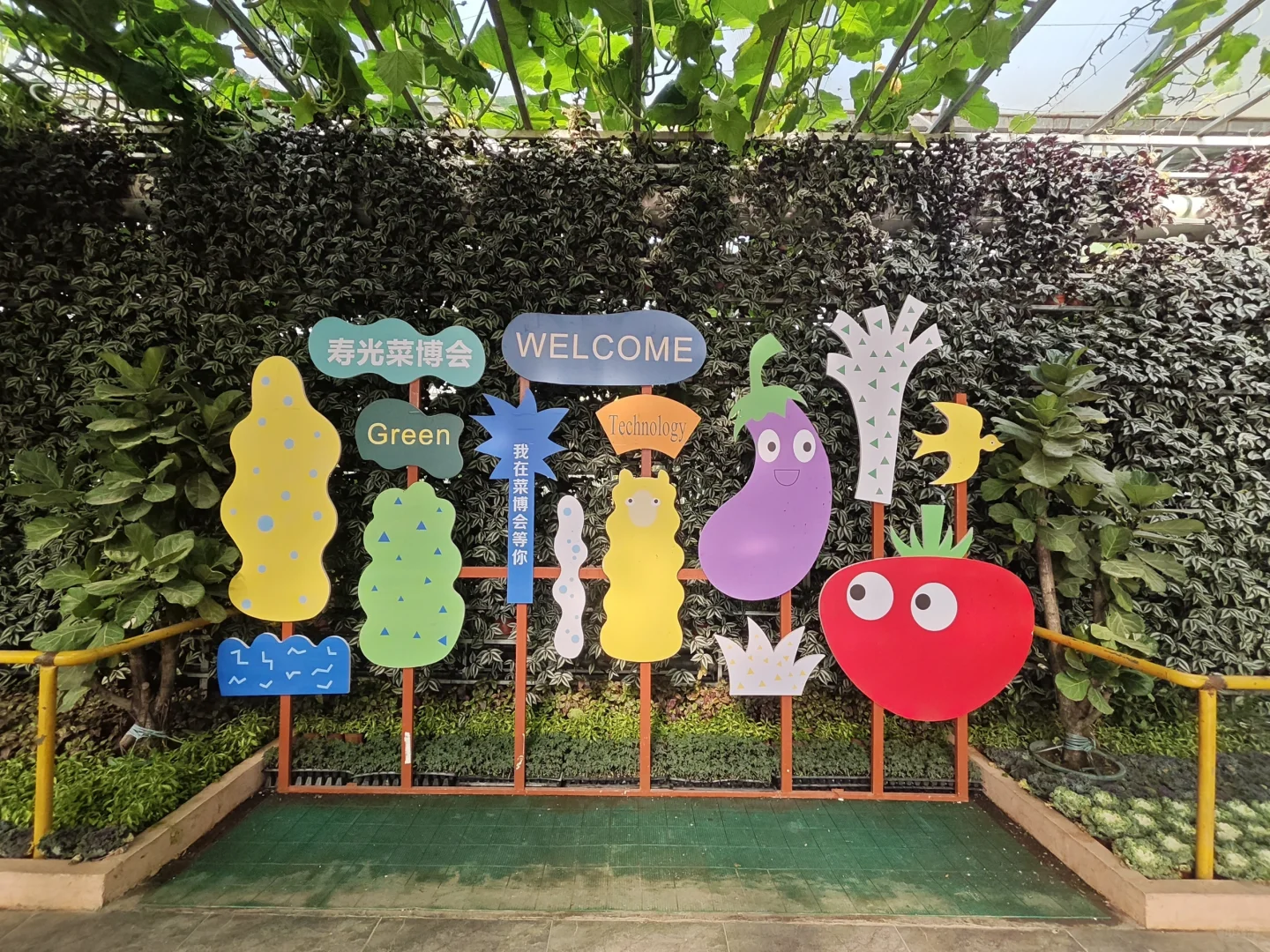 菜博会第一天