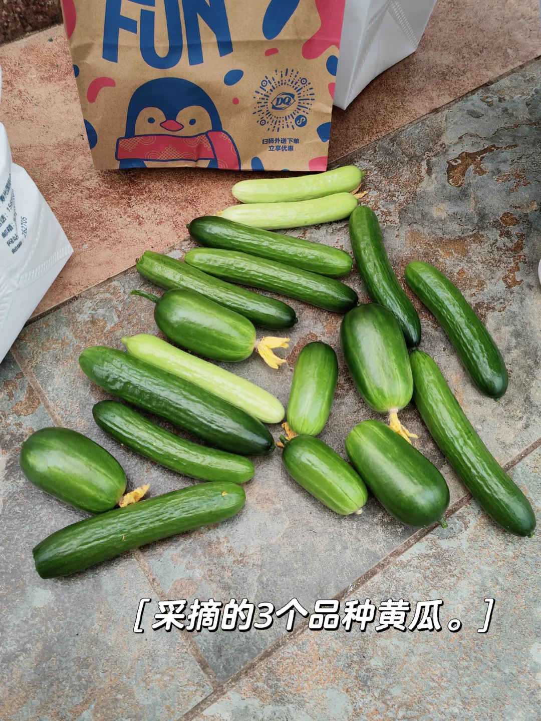 寿光菜博会，我们来啦