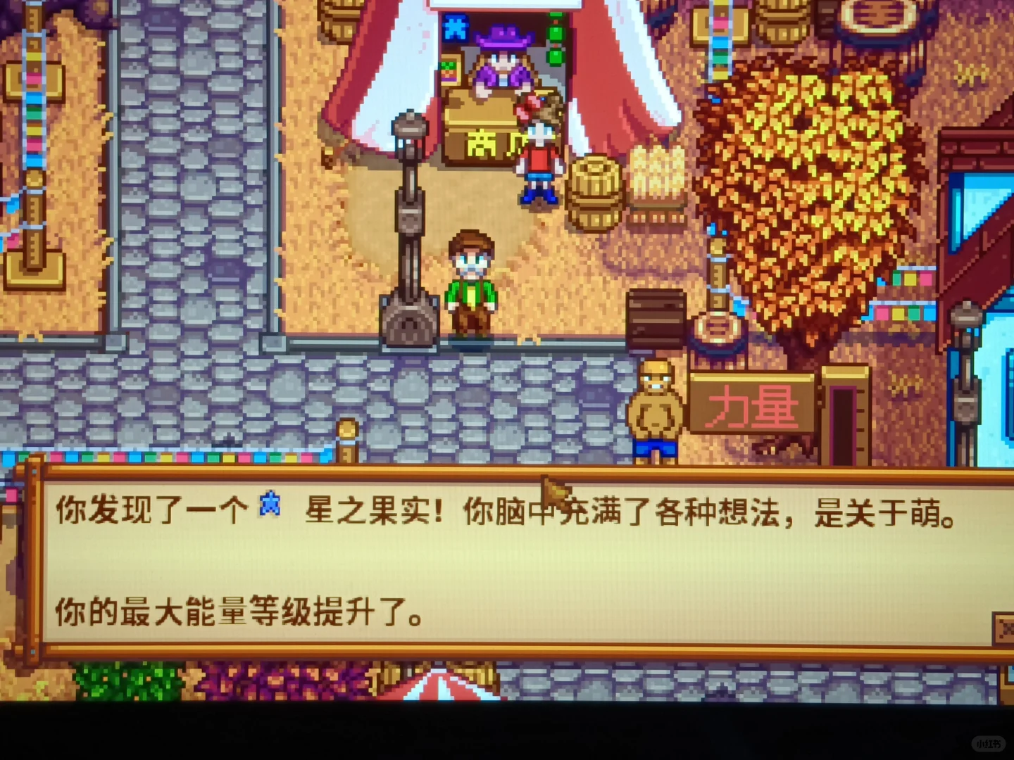 展览会第一名嘿嘿嘿嘿嘿(º﹃º )