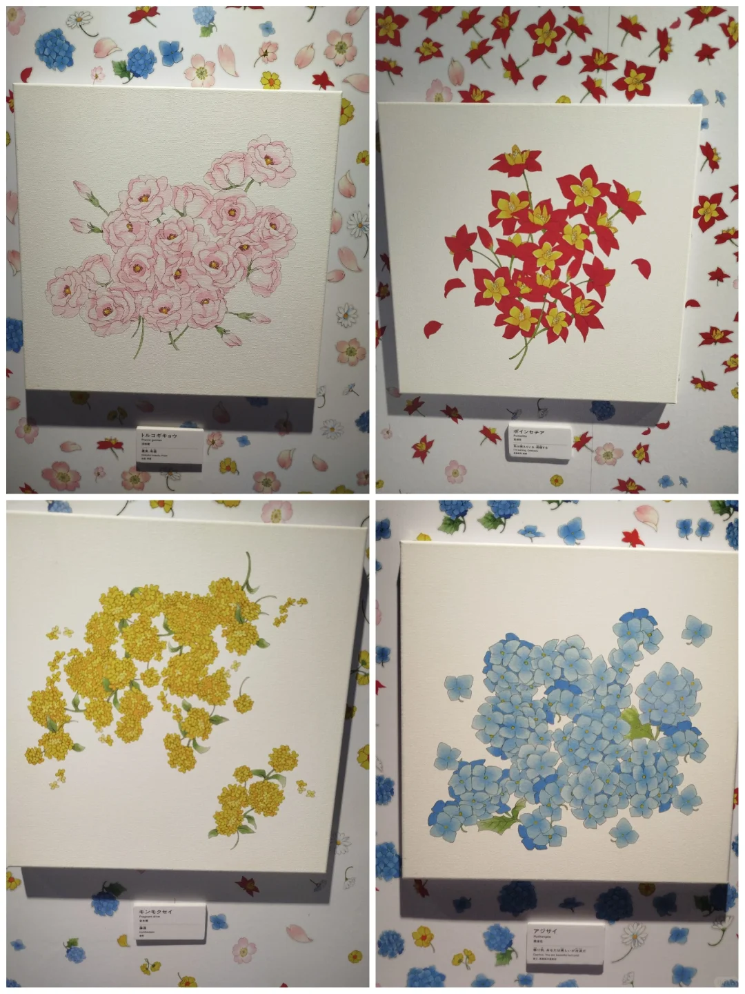 今年的五一好开心??