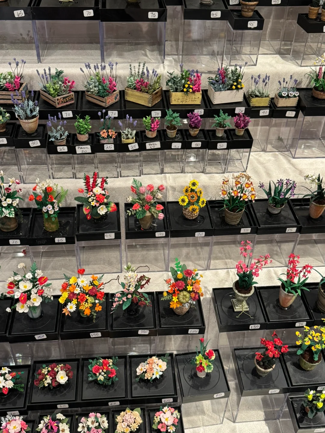 2025 芝加哥微缩展