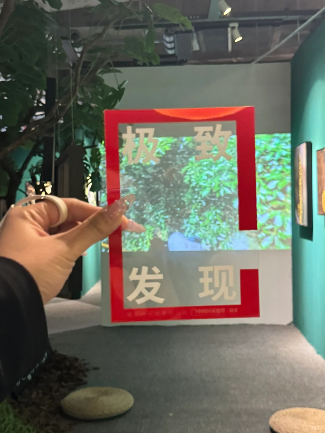 Wok!!邯郸的展览已经next level了……