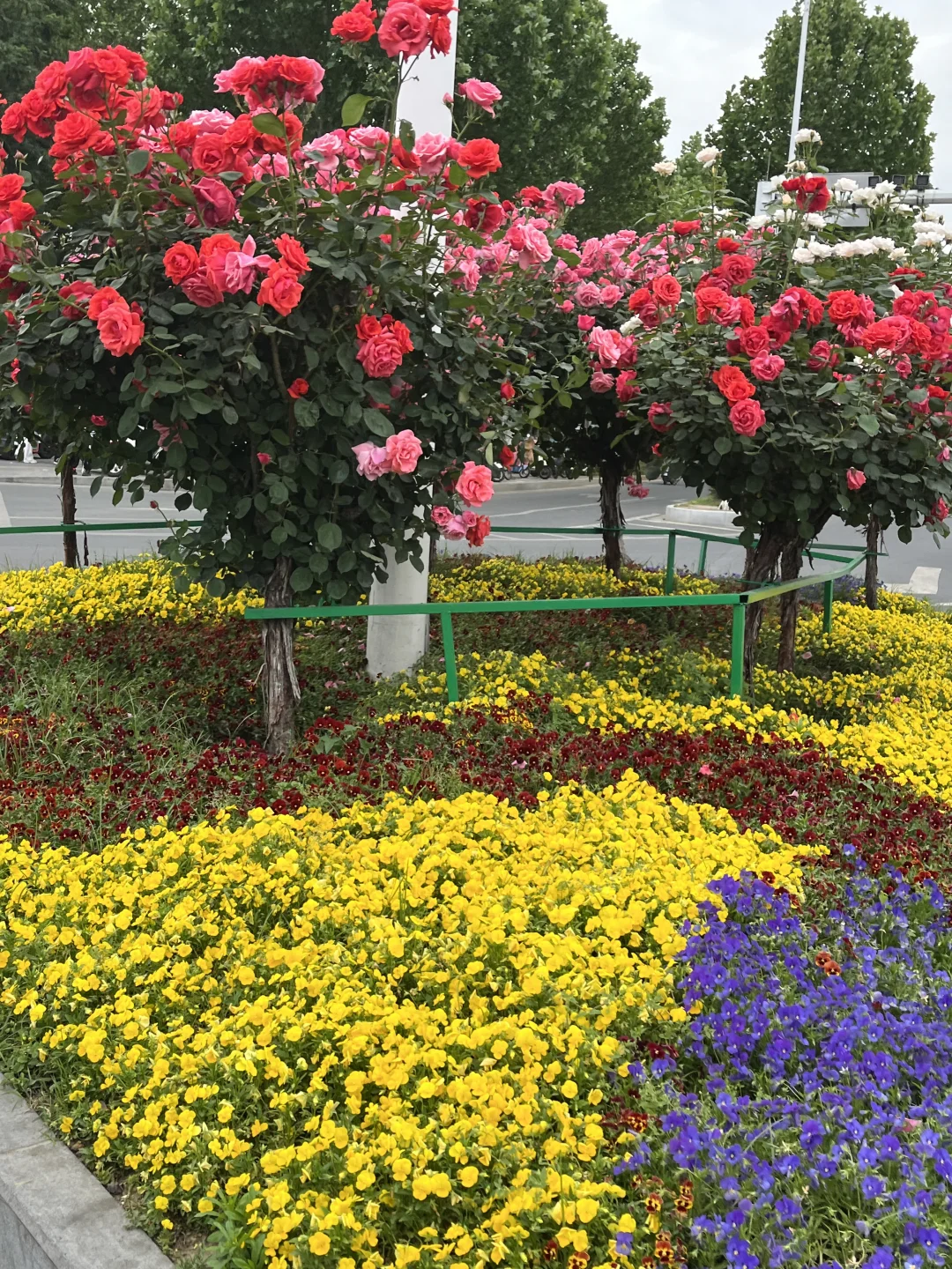 南阳第三届月季博览会邮戳?