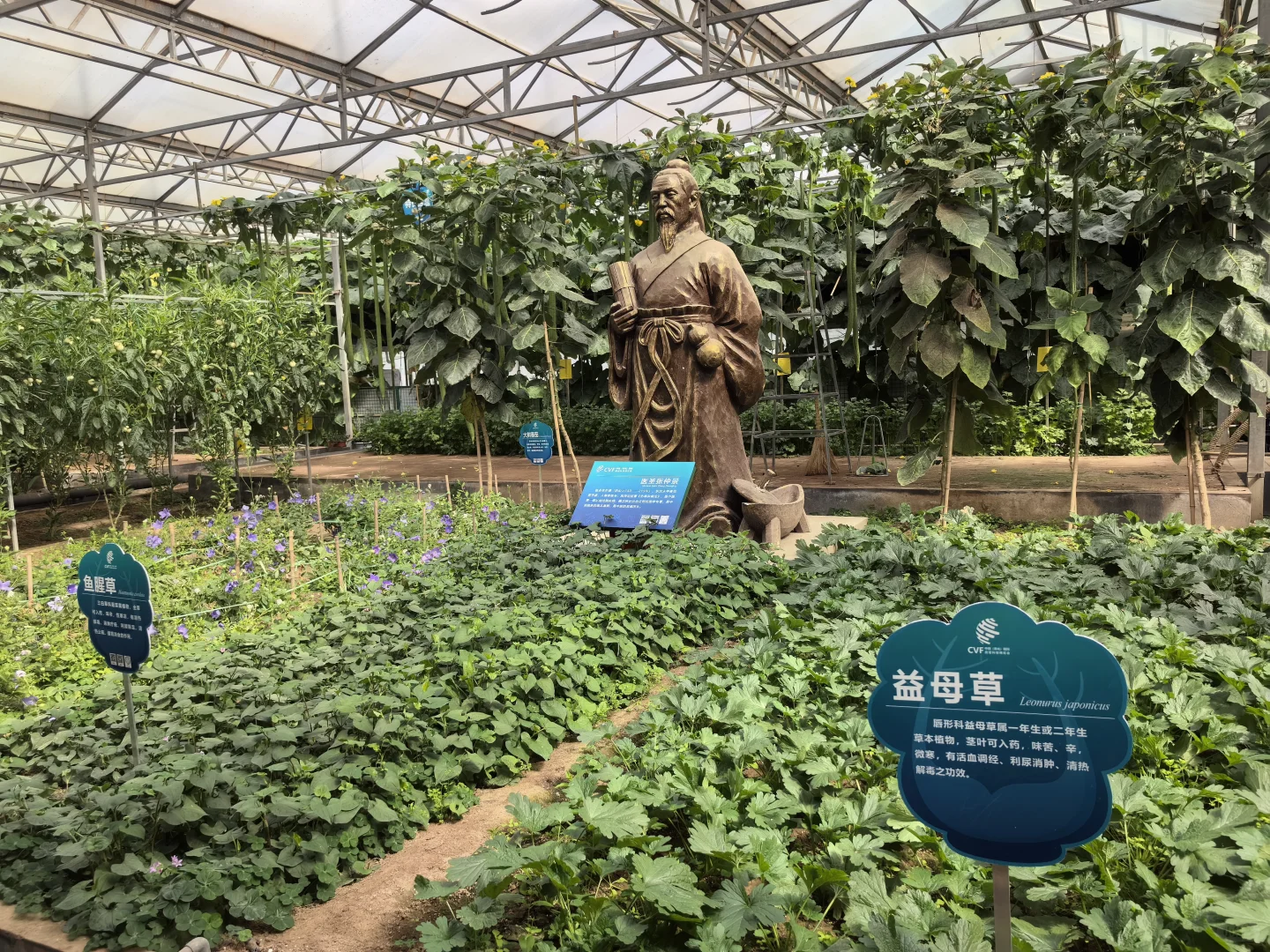 寿光蔬菜博览会值得半日游