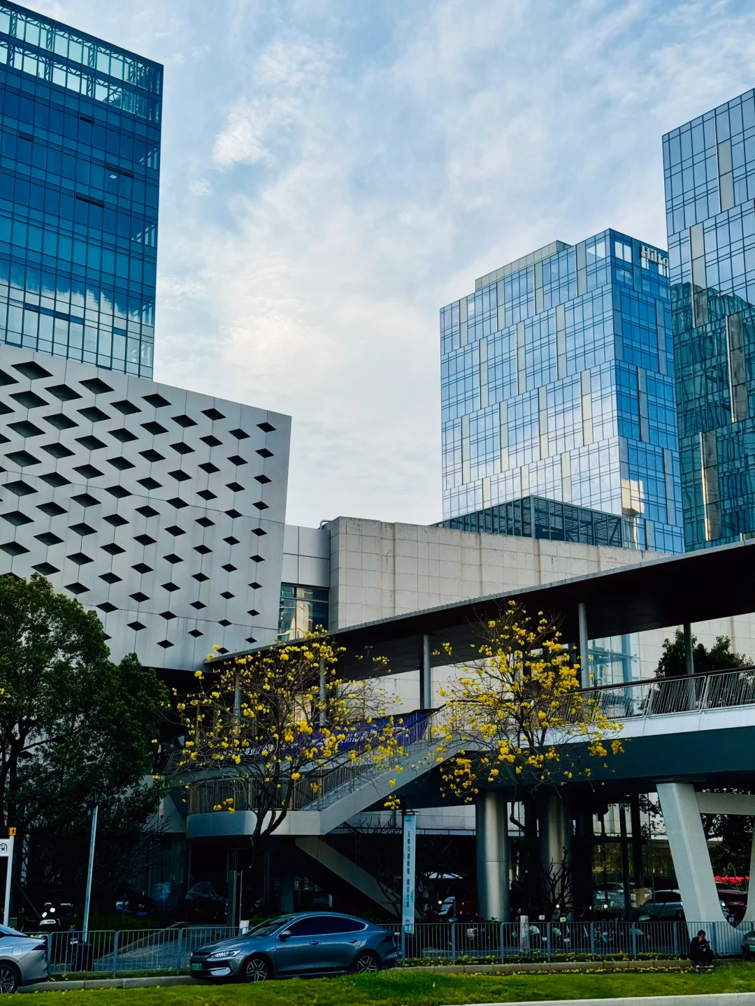 会展新城渐成