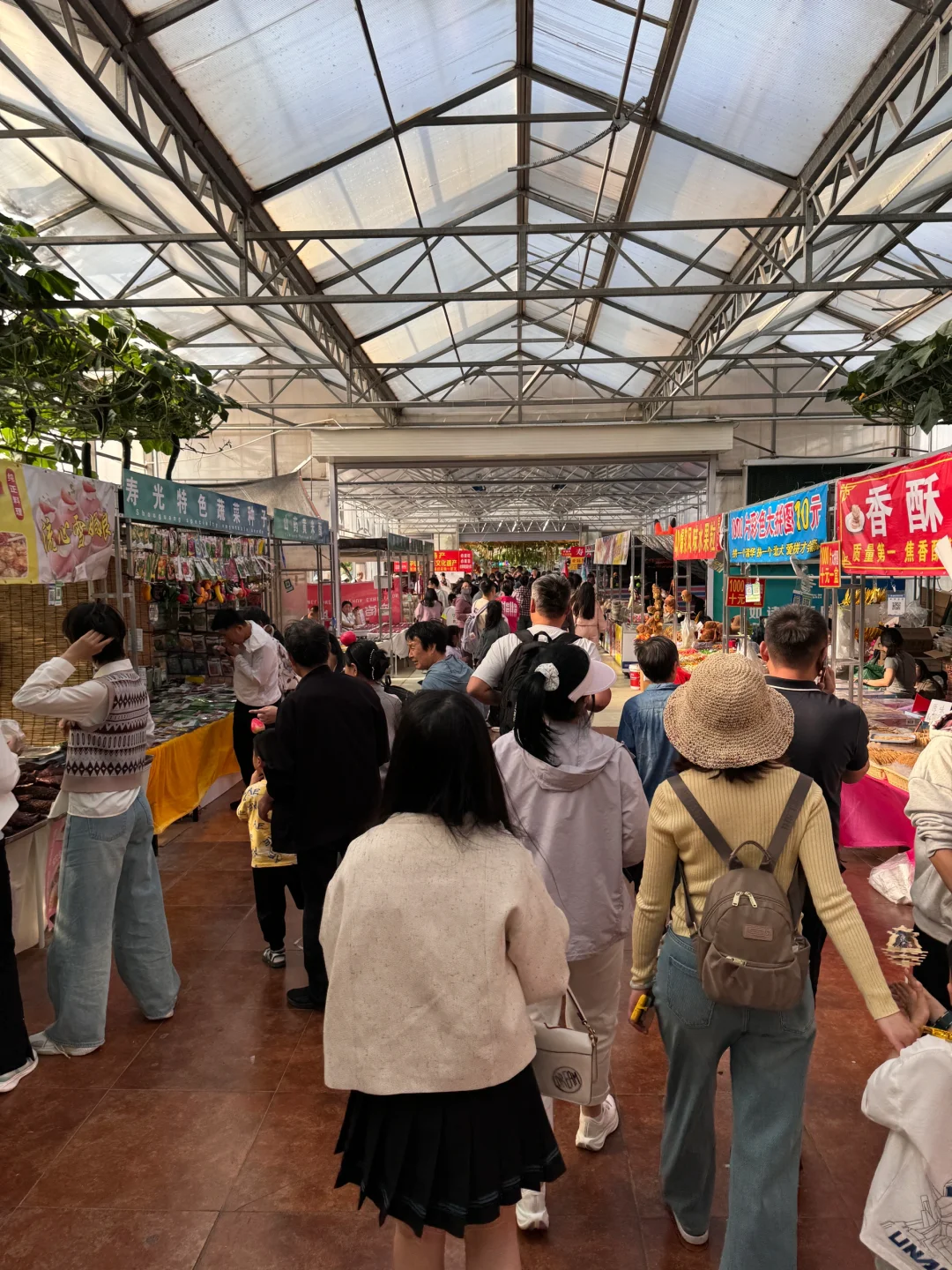 娄底大冤种才去完寿光蔬菜博览会说点大实话