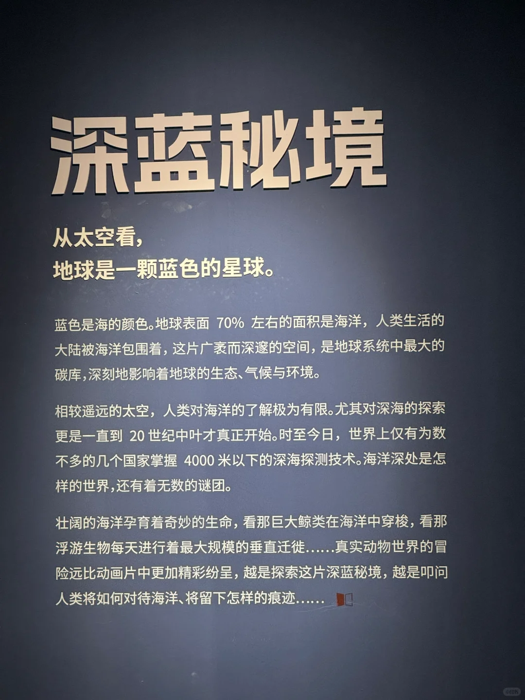 Wok!!邯郸的展览已经next level了……