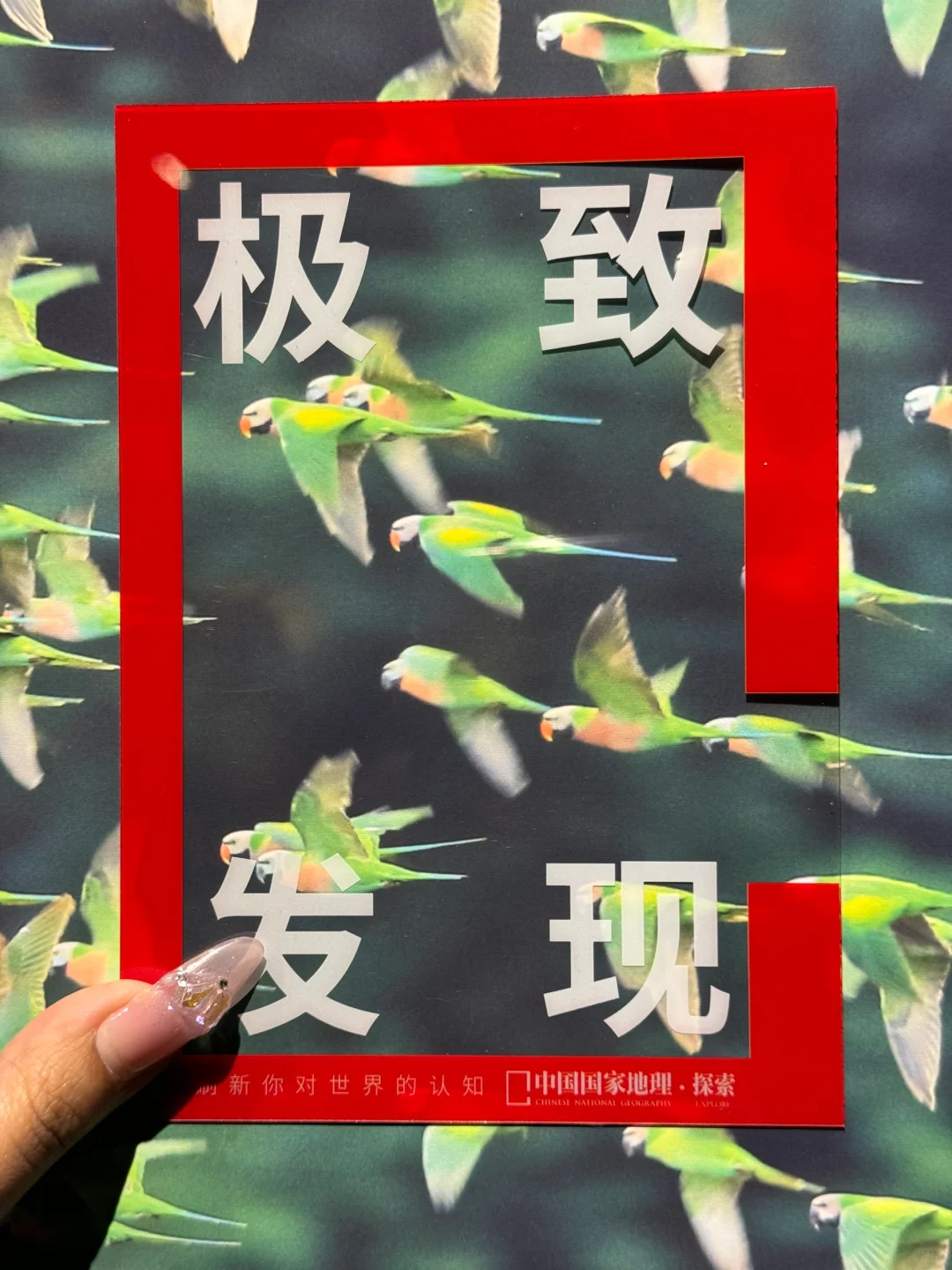 Wok!!邯郸的展览已经next level了……