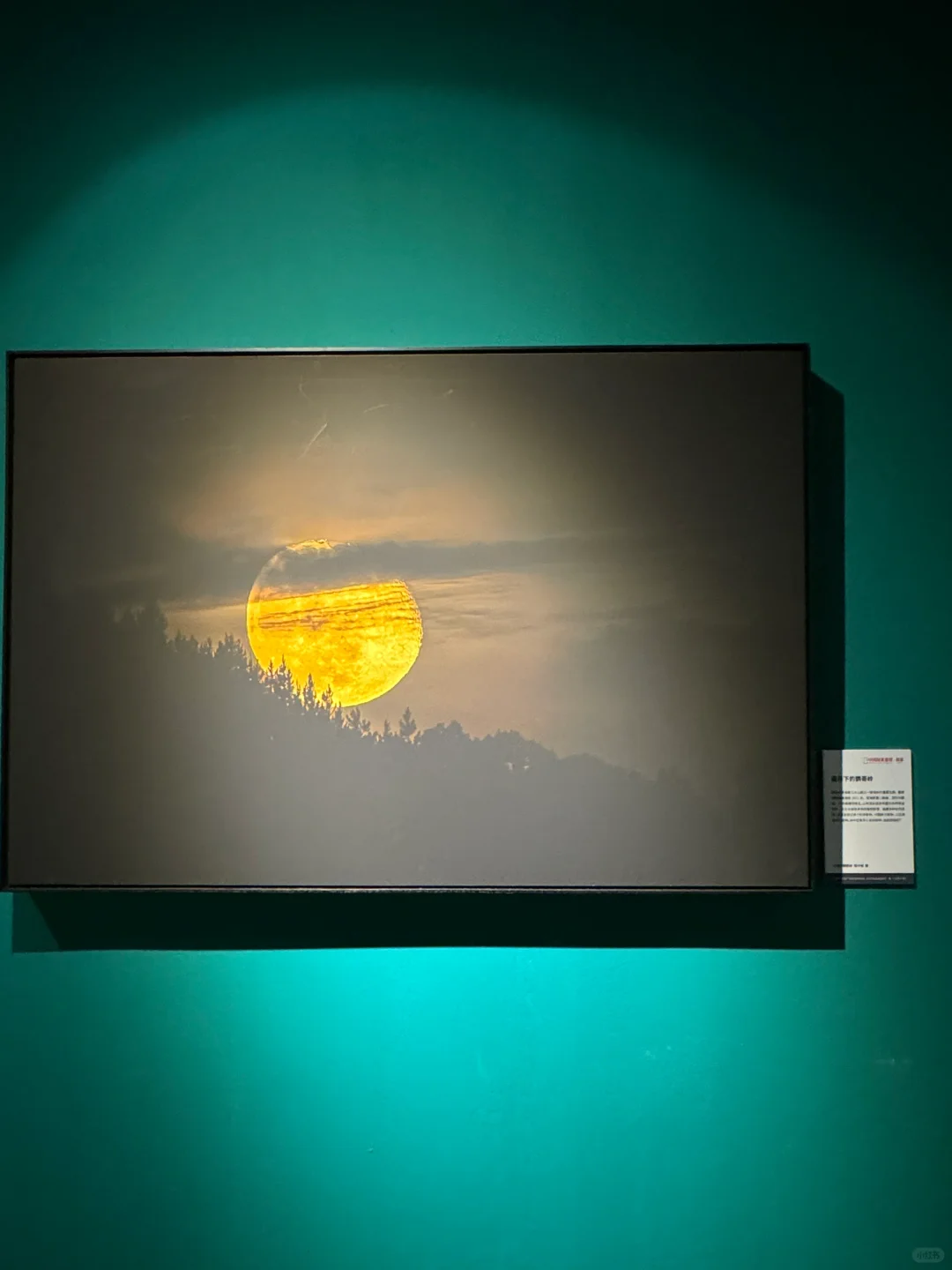 Wok!!邯郸的展览已经next level了……