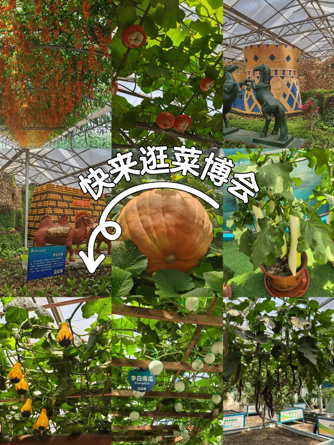 来寿光一定不要错过这里