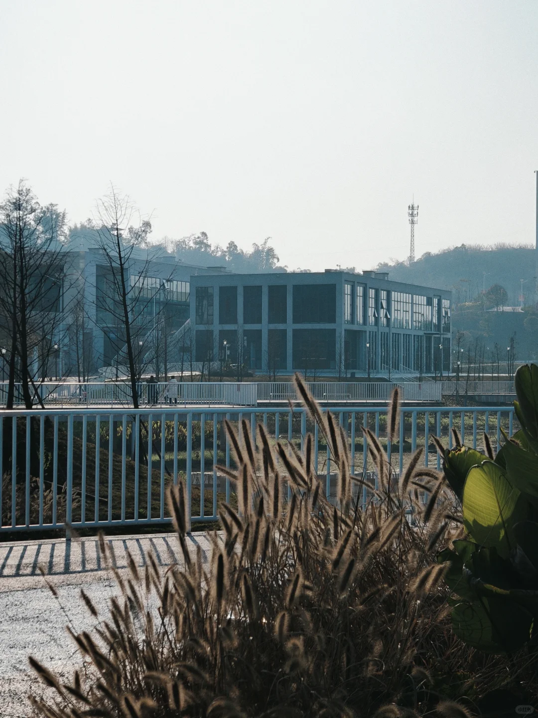 这里是重庆城管