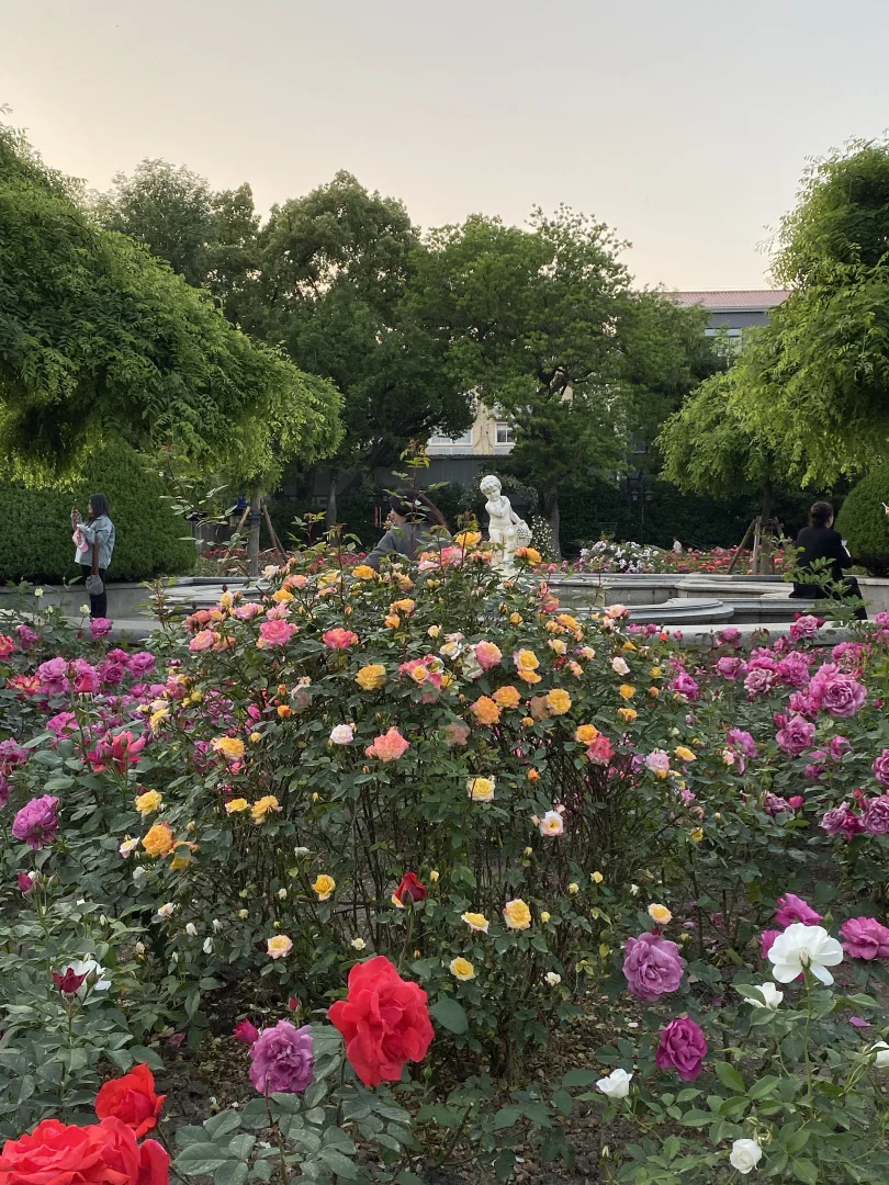 预计明天上海有1亿人来...（附避开人群攻略