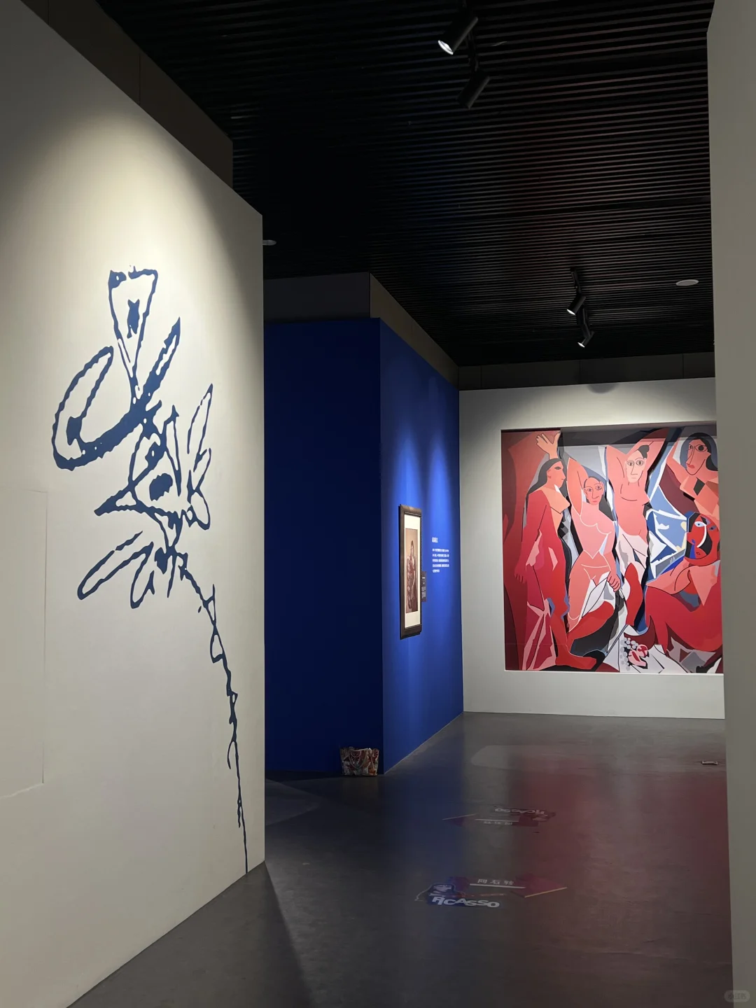 南宁新展！！被毕加索的色彩震撼了