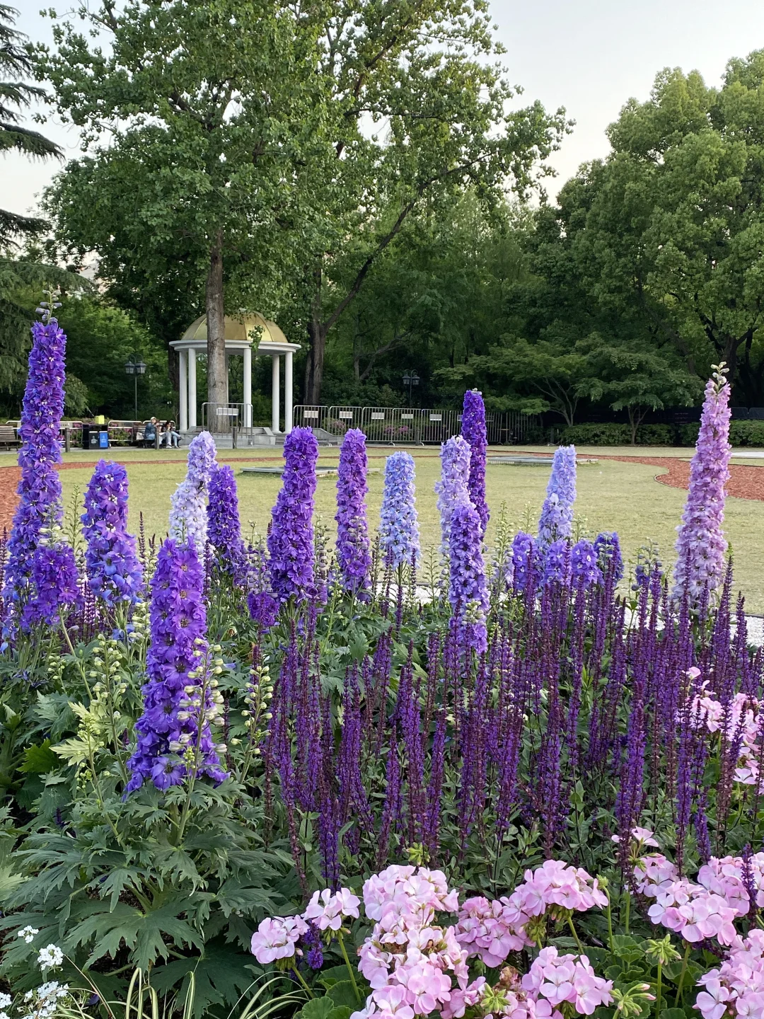 预计明天上海有1亿人来...（附避开人群攻略
