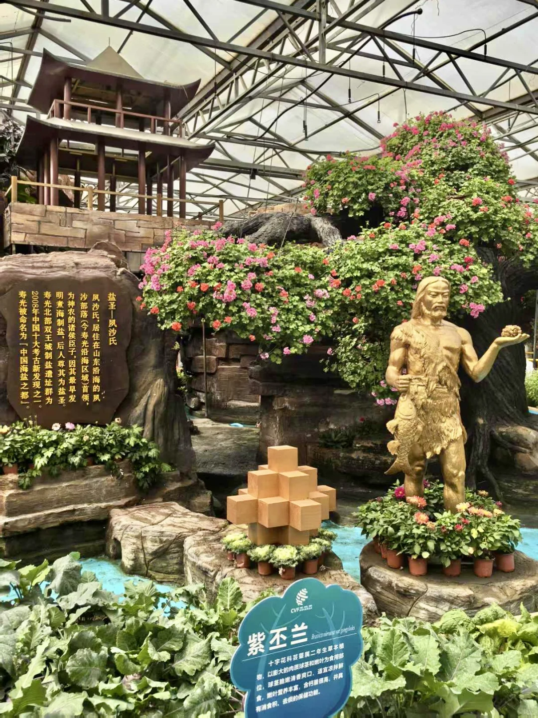 寿光！蔬菜博览会！！！?