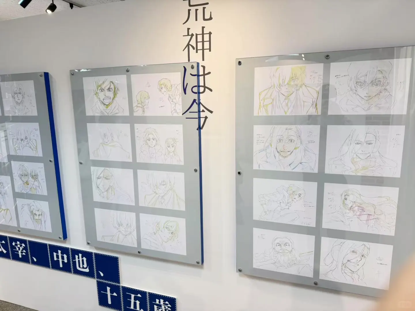 文豪野犬大博览会！