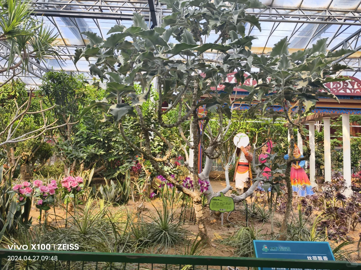 寿光第二十五届蔬菜科技博览会，大大的惊喜