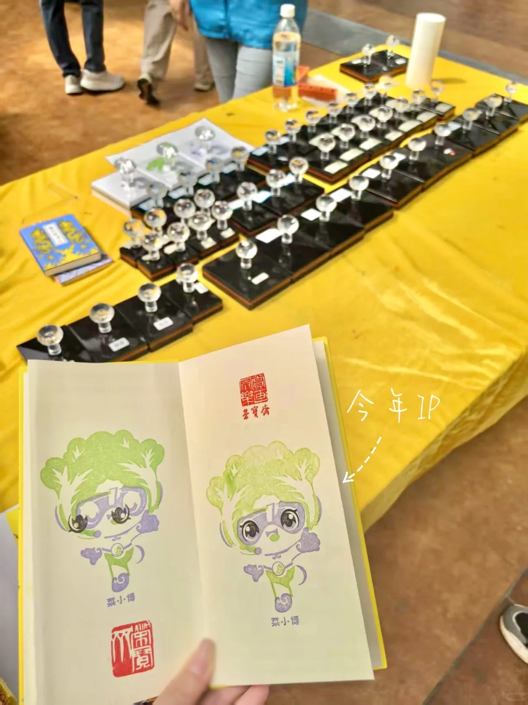 寿光！蔬菜博览会！！！?