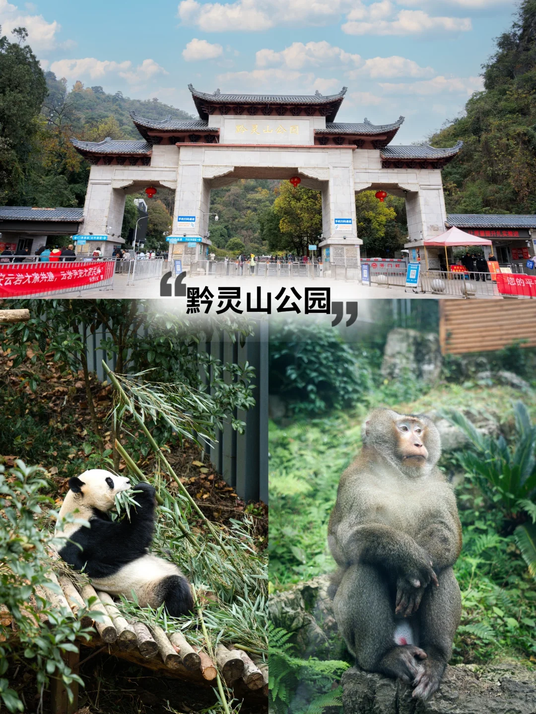 2024数博会来袭?贵阳旅行美食攻略快码住