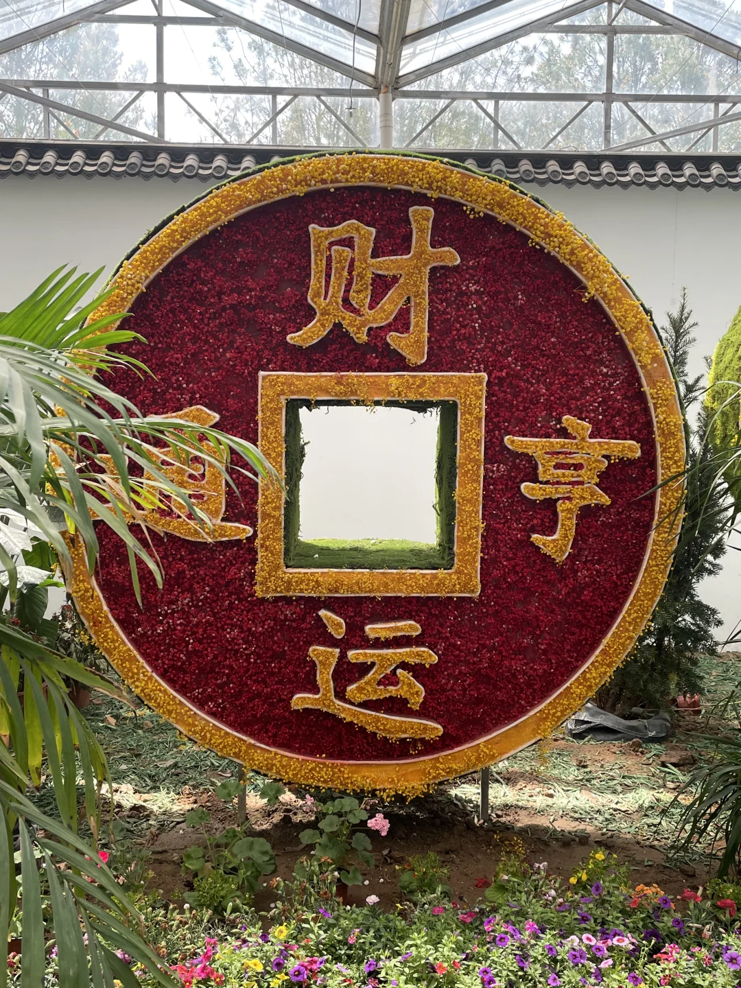 plog | 寿光菜博会打卡攻略