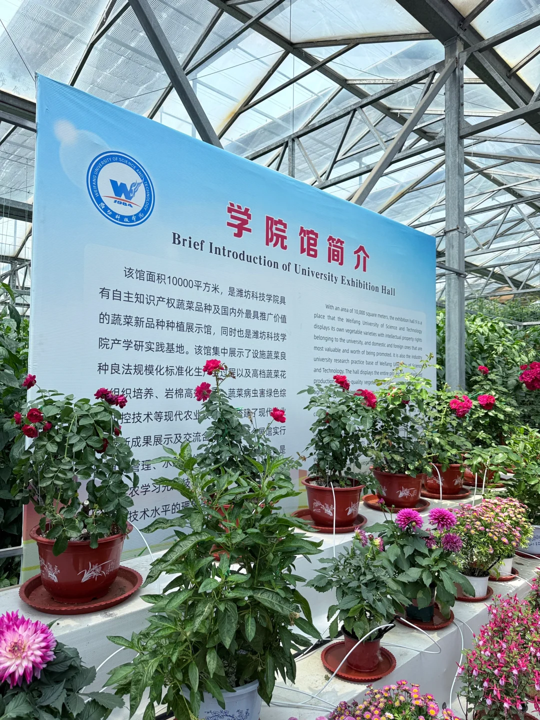寿光菜博会保姆级攻略?