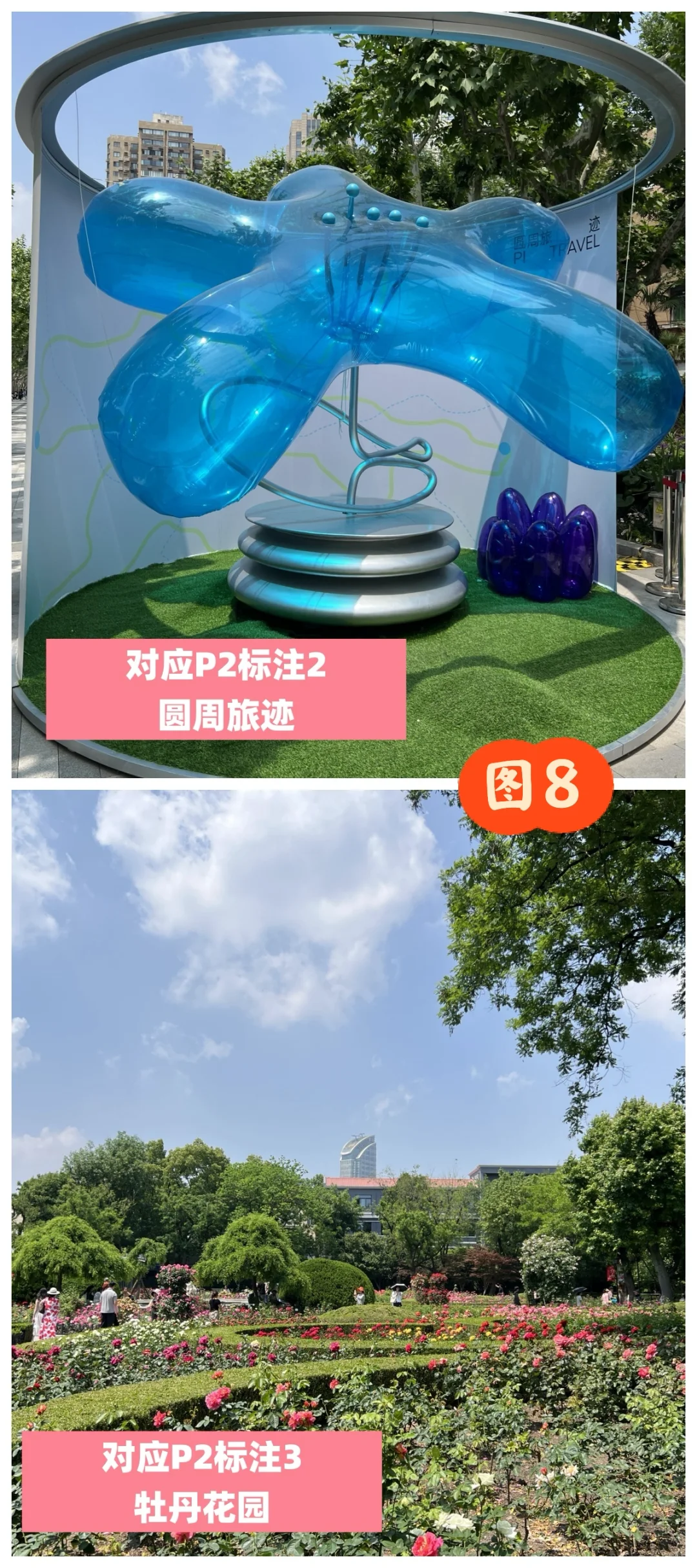 五一上海国际花展避雷攻略，独家福利