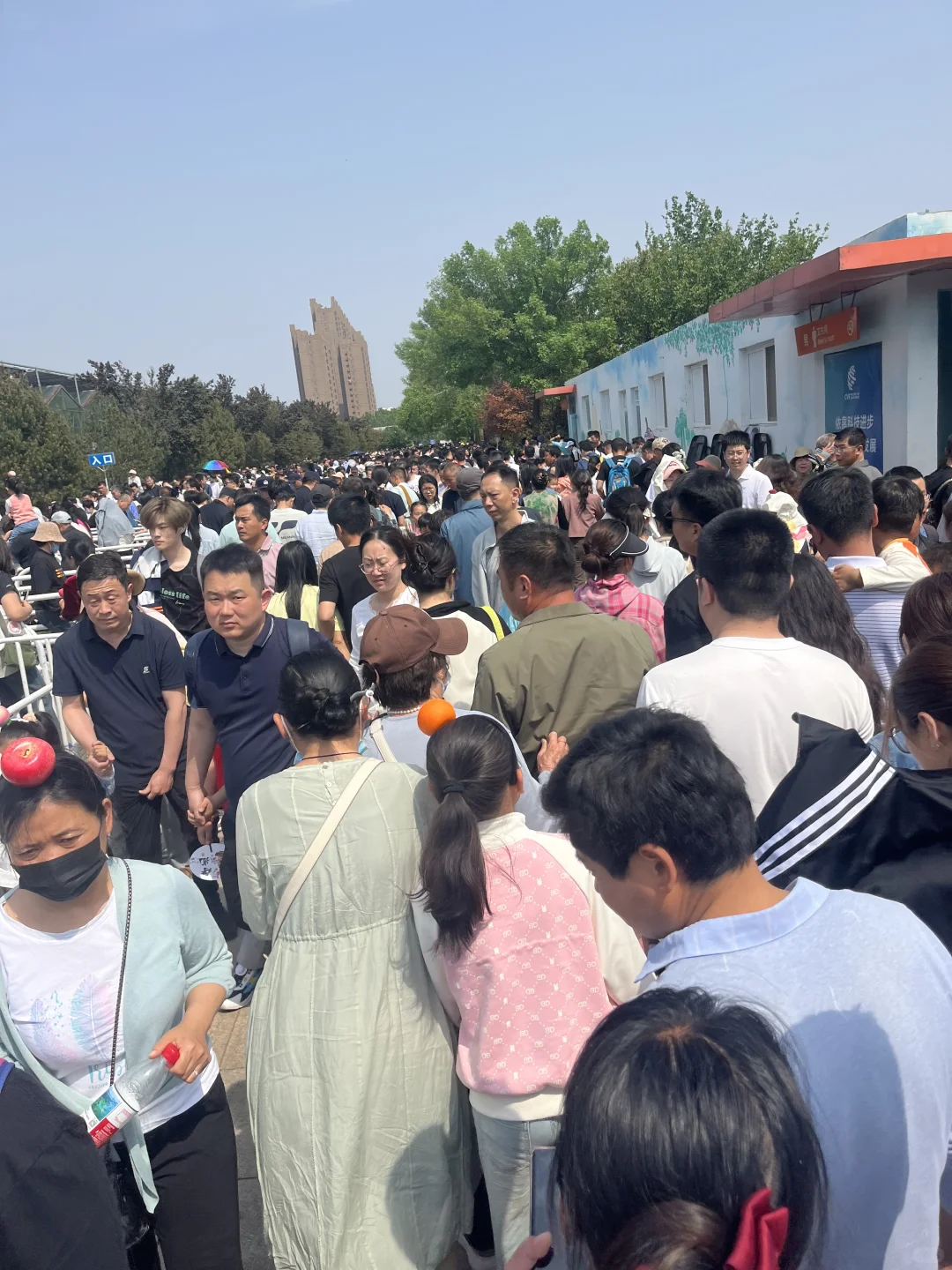 今天的寿光菜博会有一亿人！