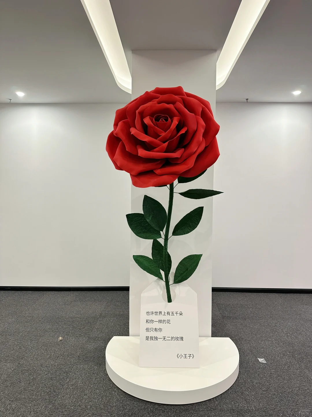 深圳看展｜又是一个新开且好看的免费展?️