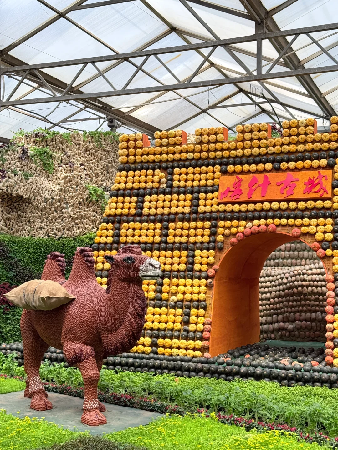 寿光菜博会保姆级攻略?