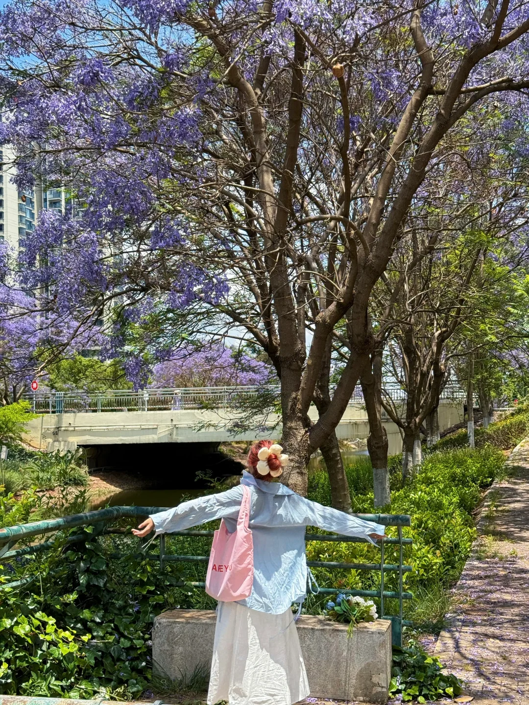 告别仰拍‼️会展中心的蓝花楹也太好拍了吧?