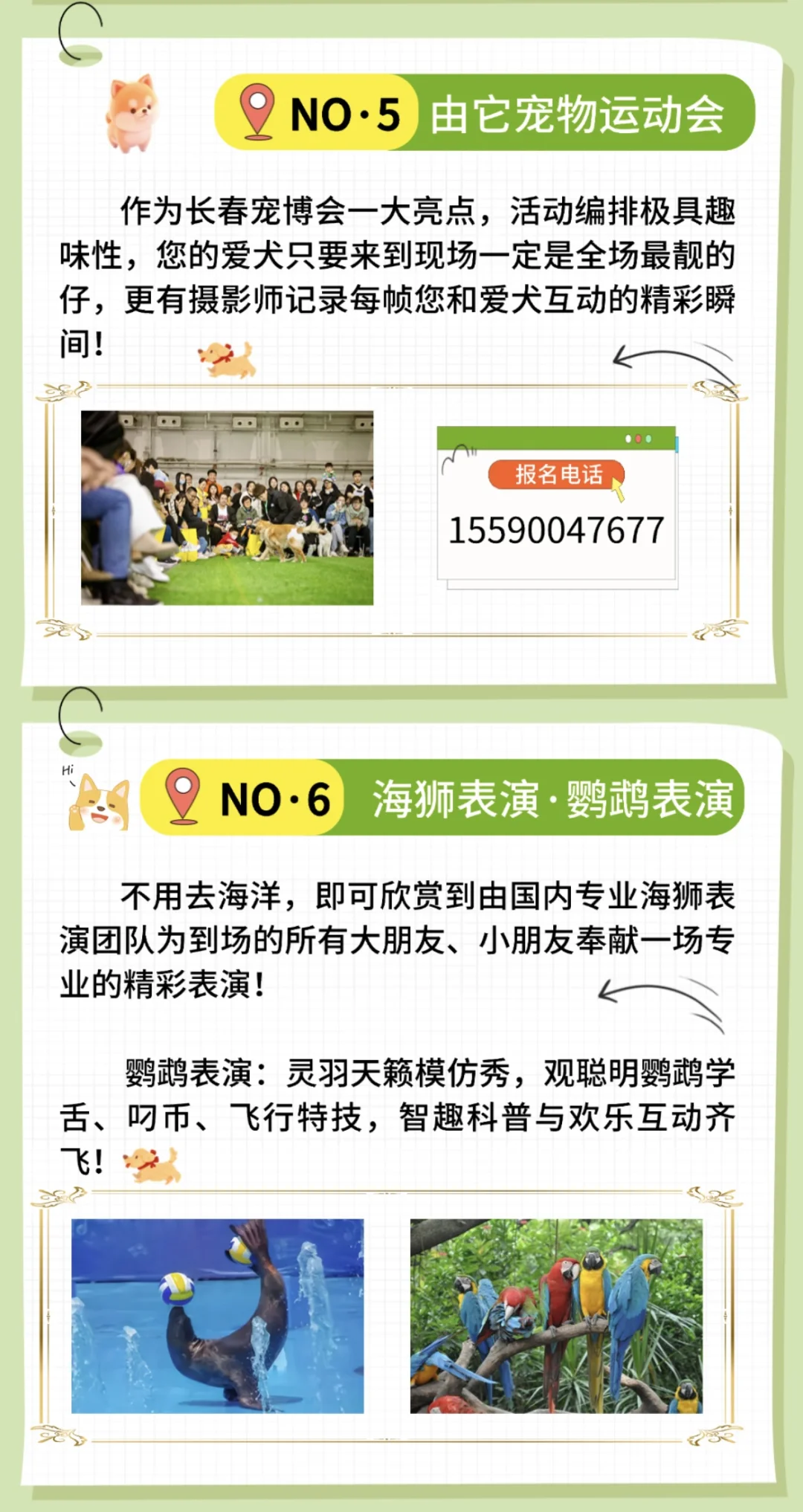 2025第二届长春宠物展来啦！！