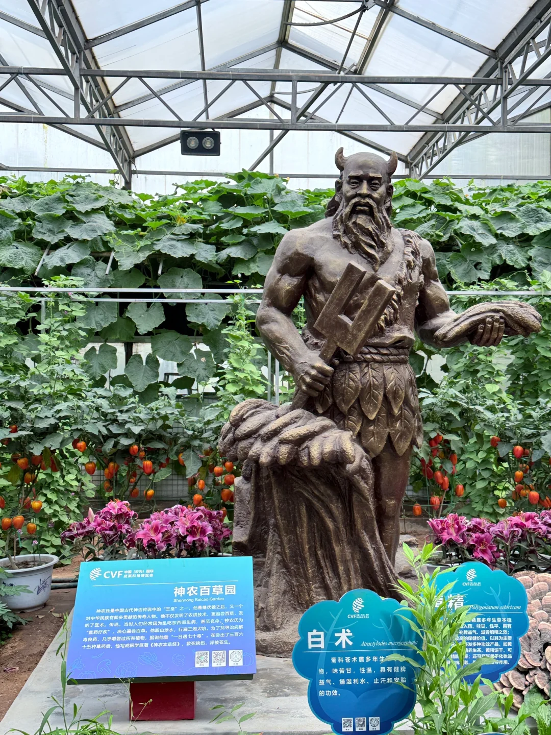 寿光菜博会保姆级攻略?
