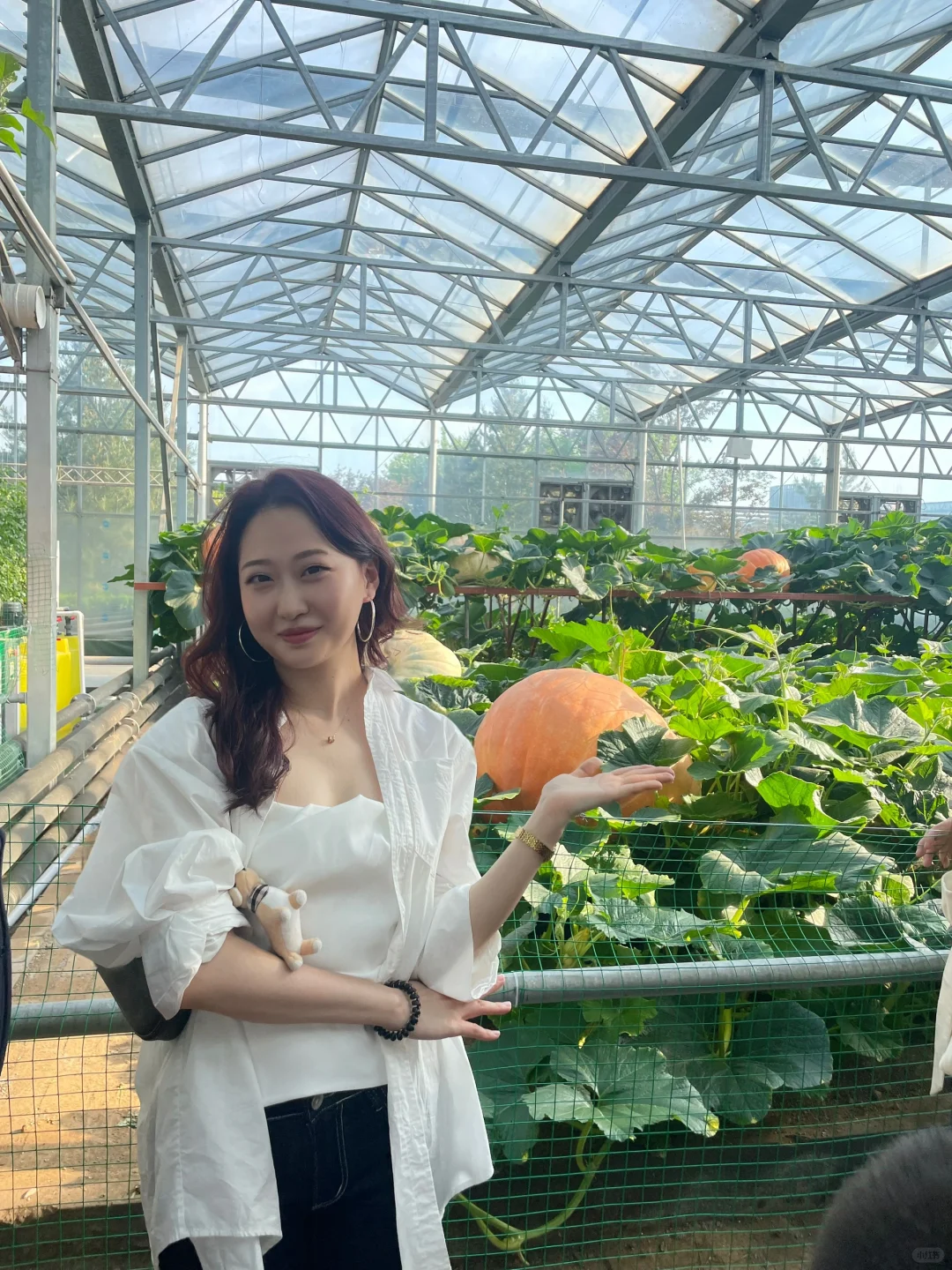 五一寿光蔬菜博览会攻略