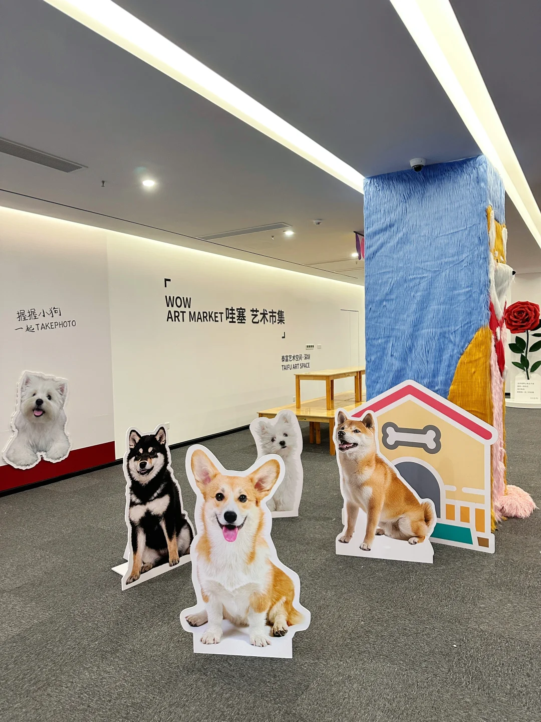 深圳看展｜又是一个新开且好看的免费展?️