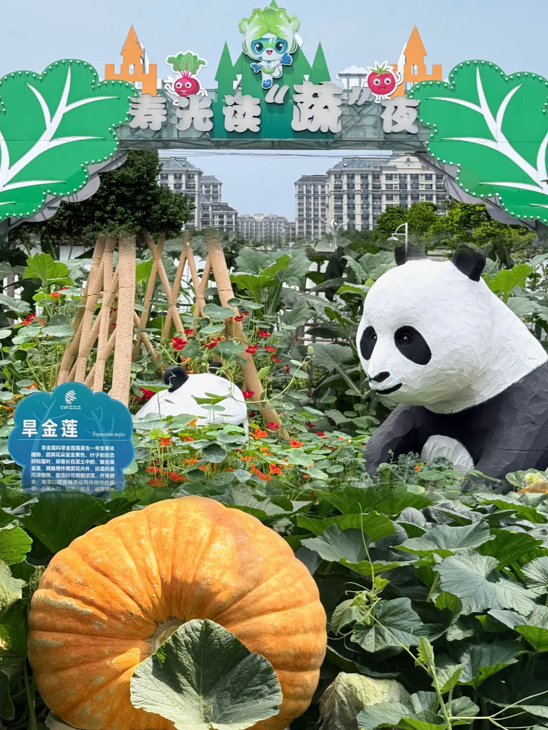 寿光菜博会保姆级攻略?