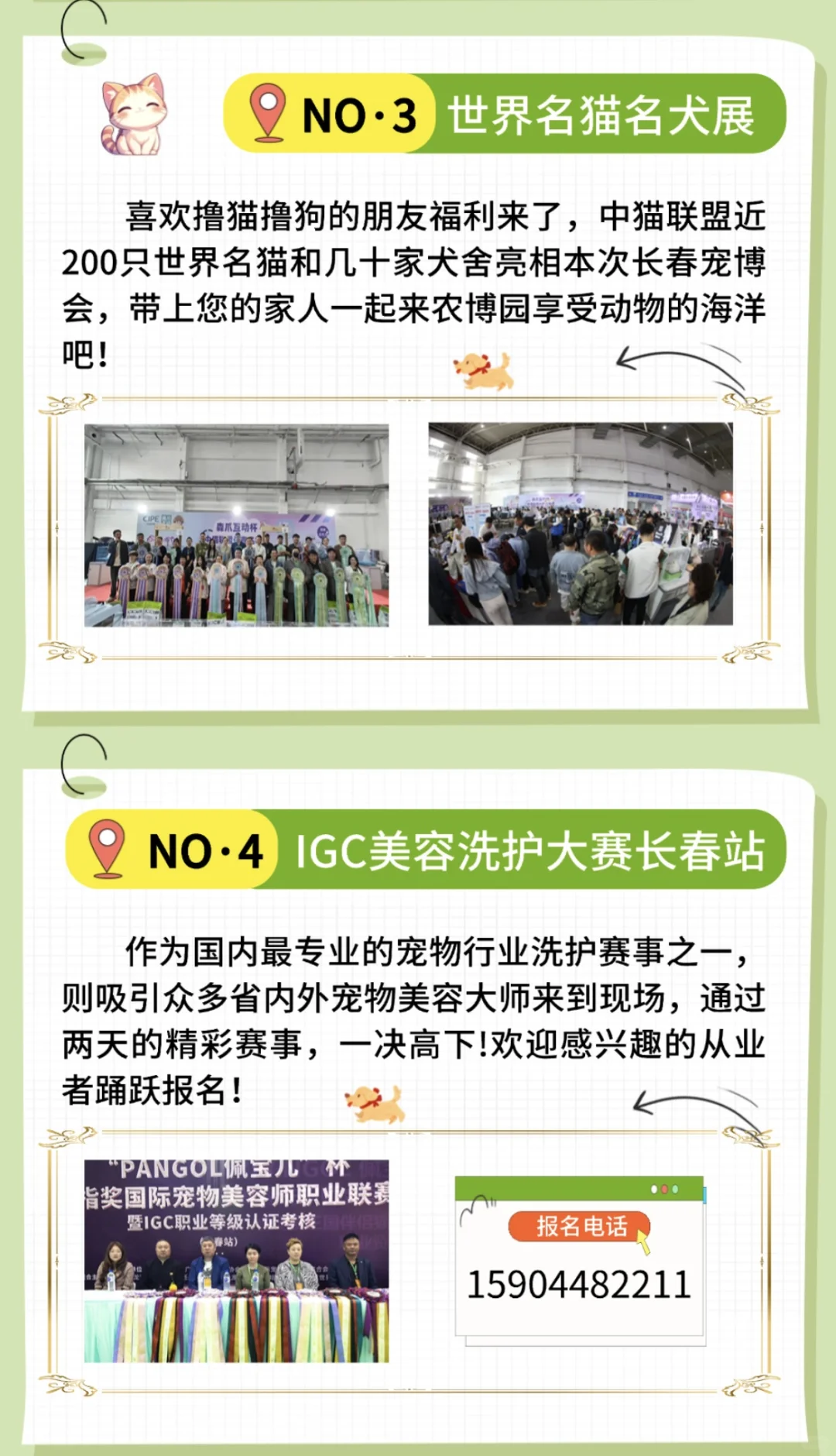 2025第二届长春宠物展来啦！！