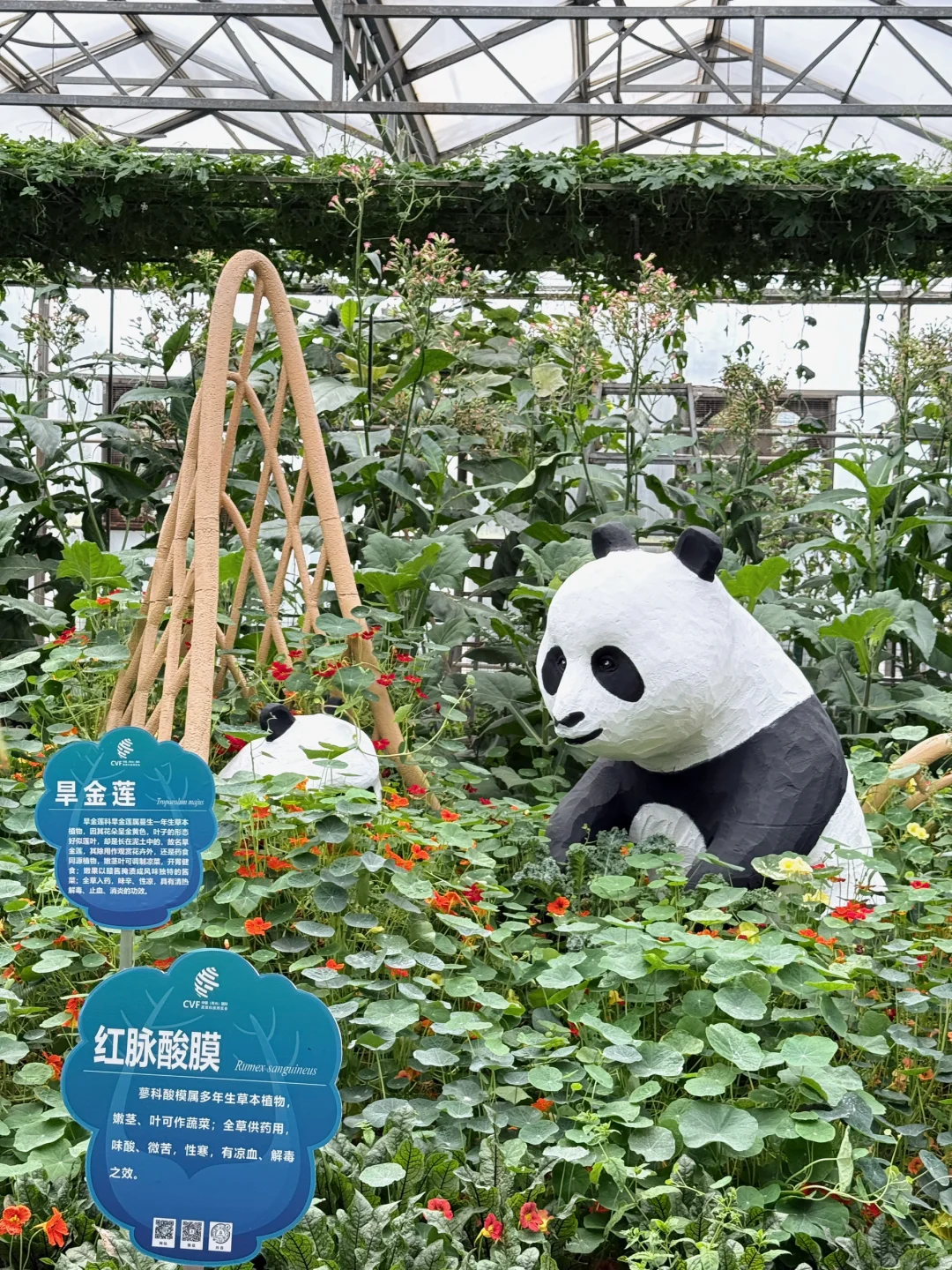 寿光菜博会保姆级攻略?