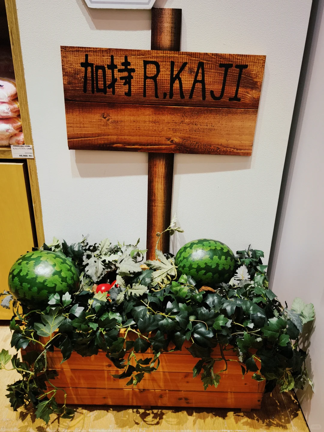 EVA迷不得不去的EVA大博览会都有啥?