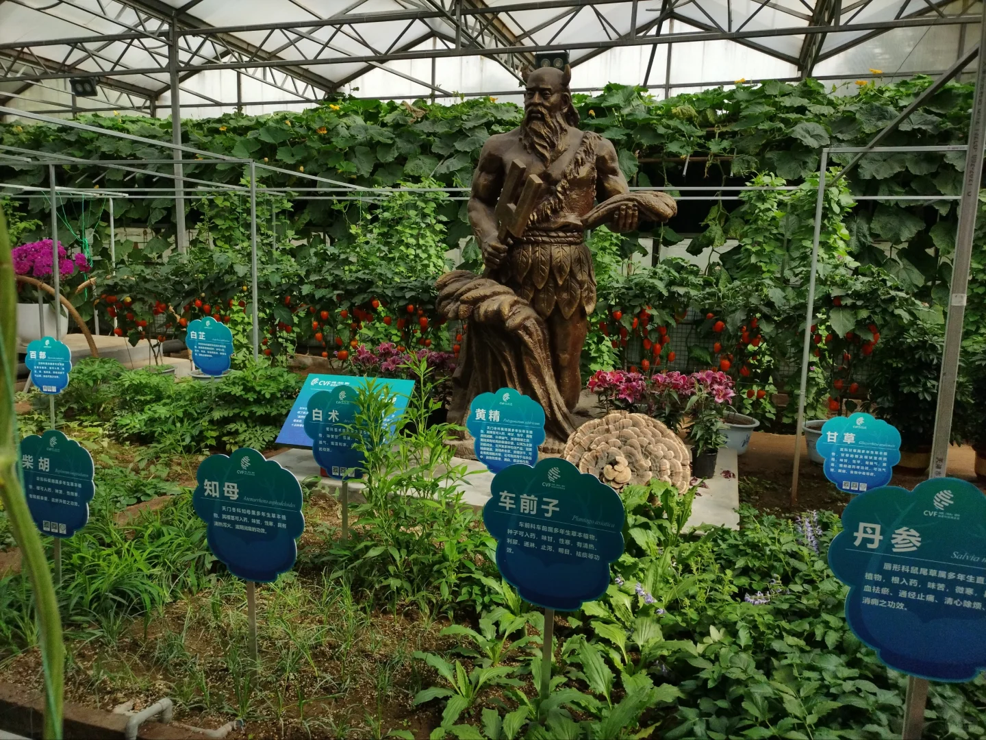 第26届寿光蔬菜博览会