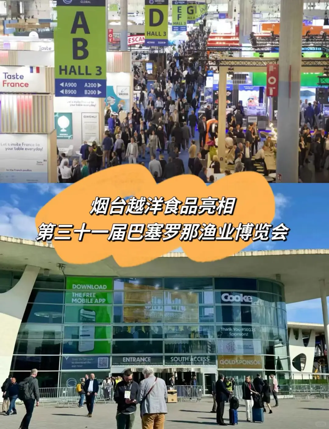 烟台越洋食品亮相第31届巴塞罗那渔业博览会
