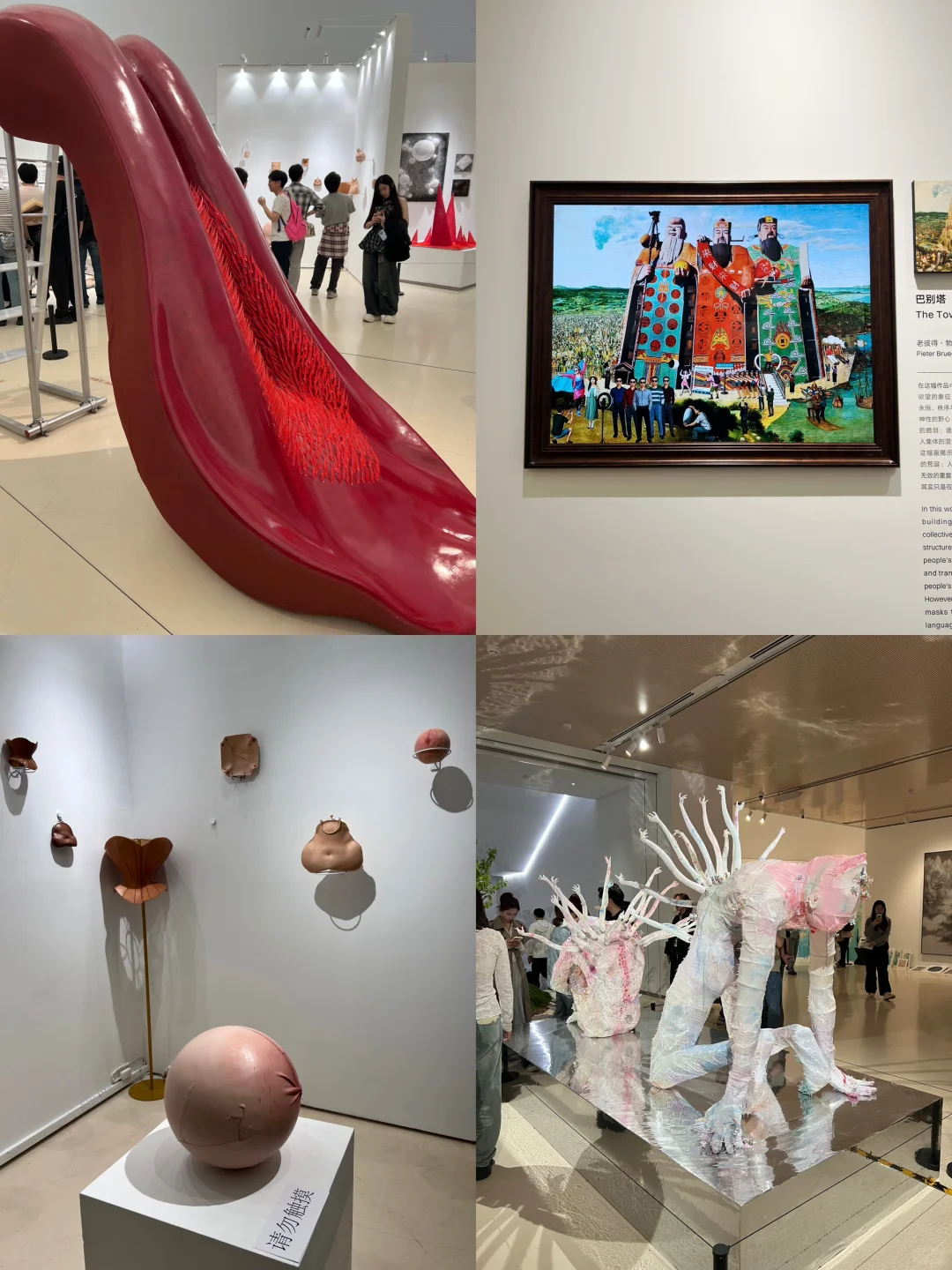 艺术看展团｜2025央美毕业展（附攻略?