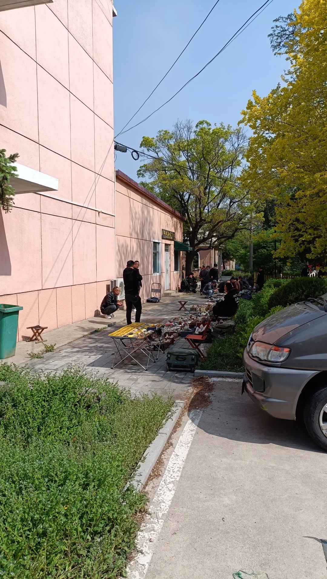 兴城水调歌头全国古玩交流博览会