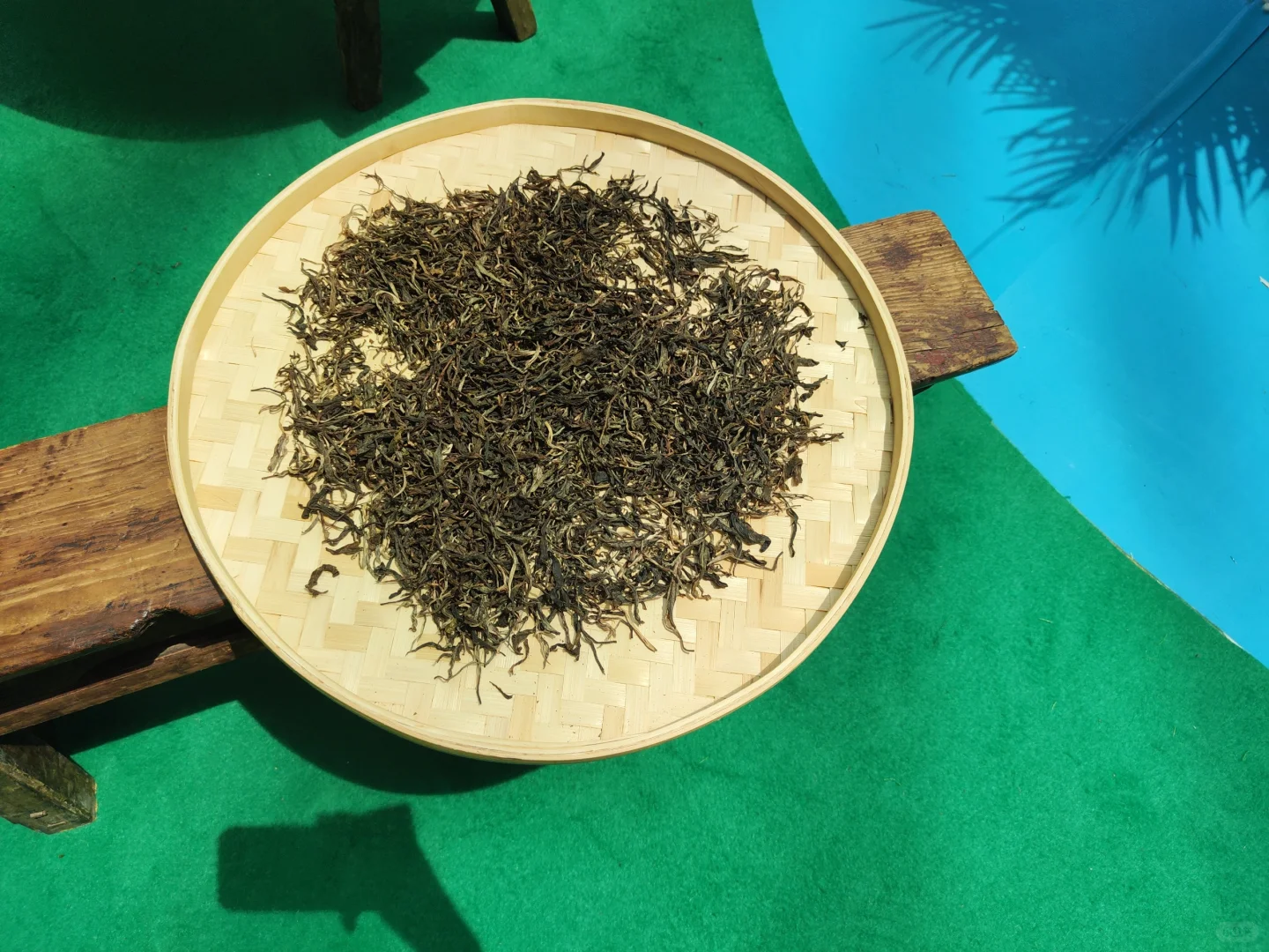 云茶博览会，上山喝茶