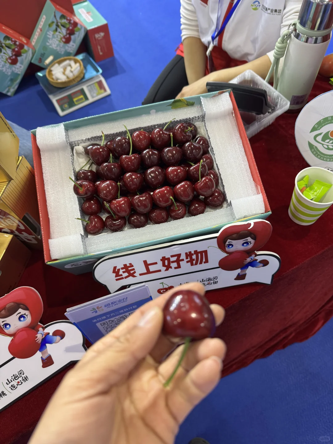 2025大连马拉松博览会白嫖指南