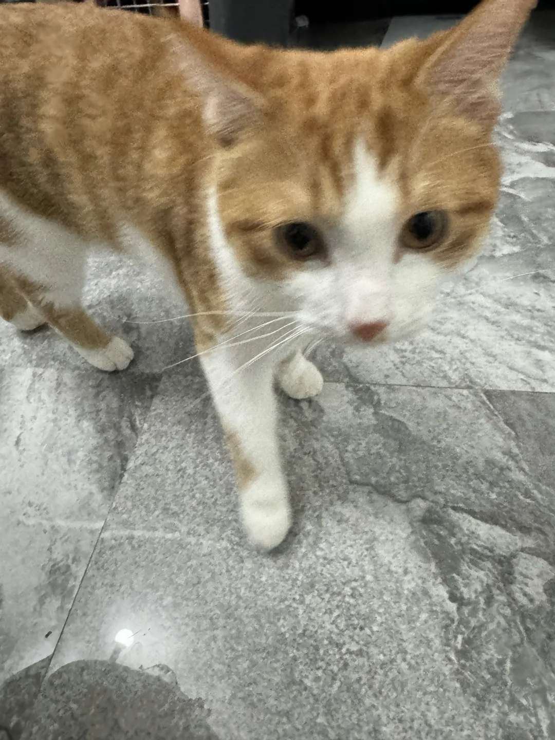 转发有?丨它博会带你体验瞬时除臭
