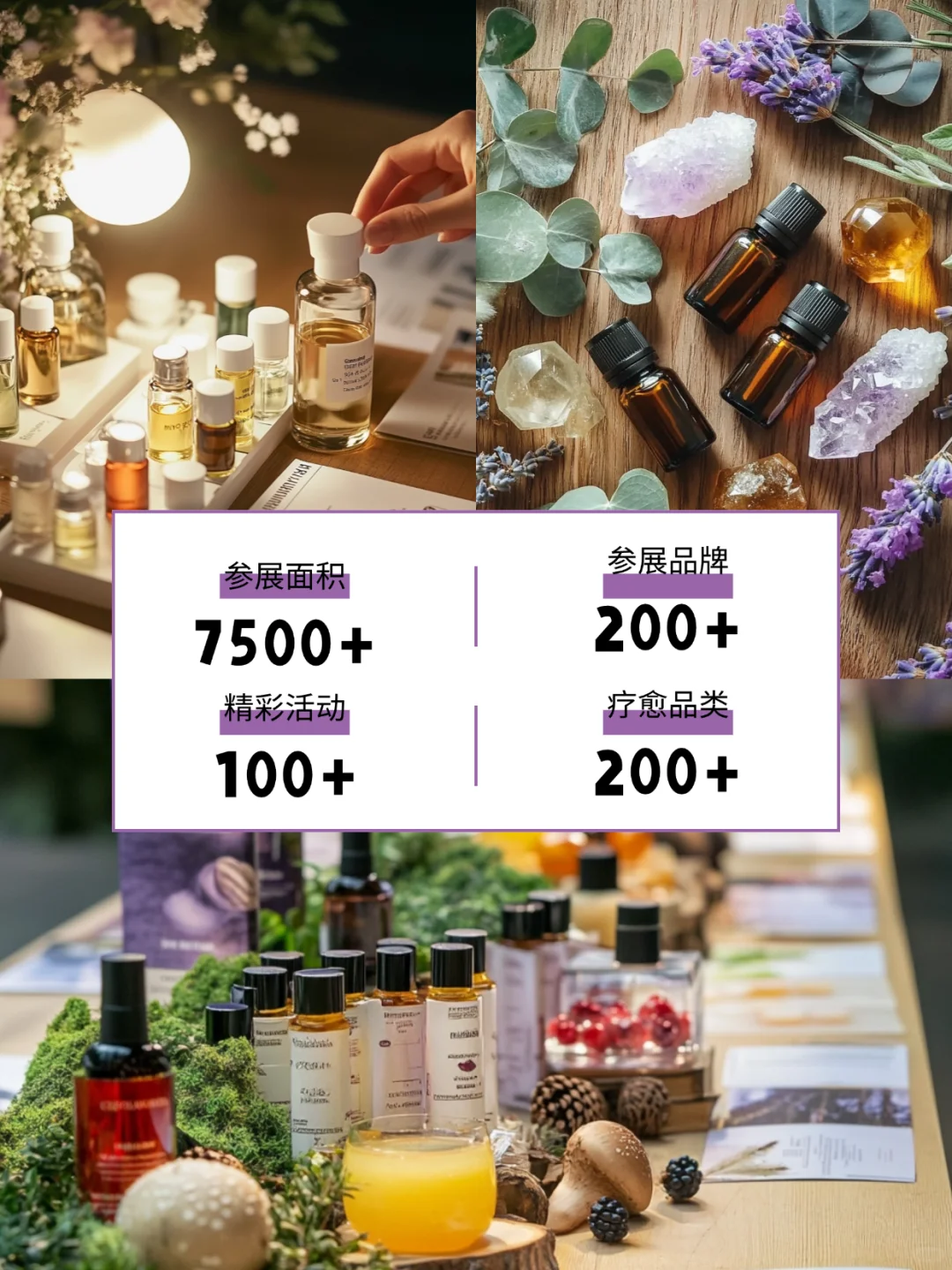 大型芳香精油按摩现场博览会！