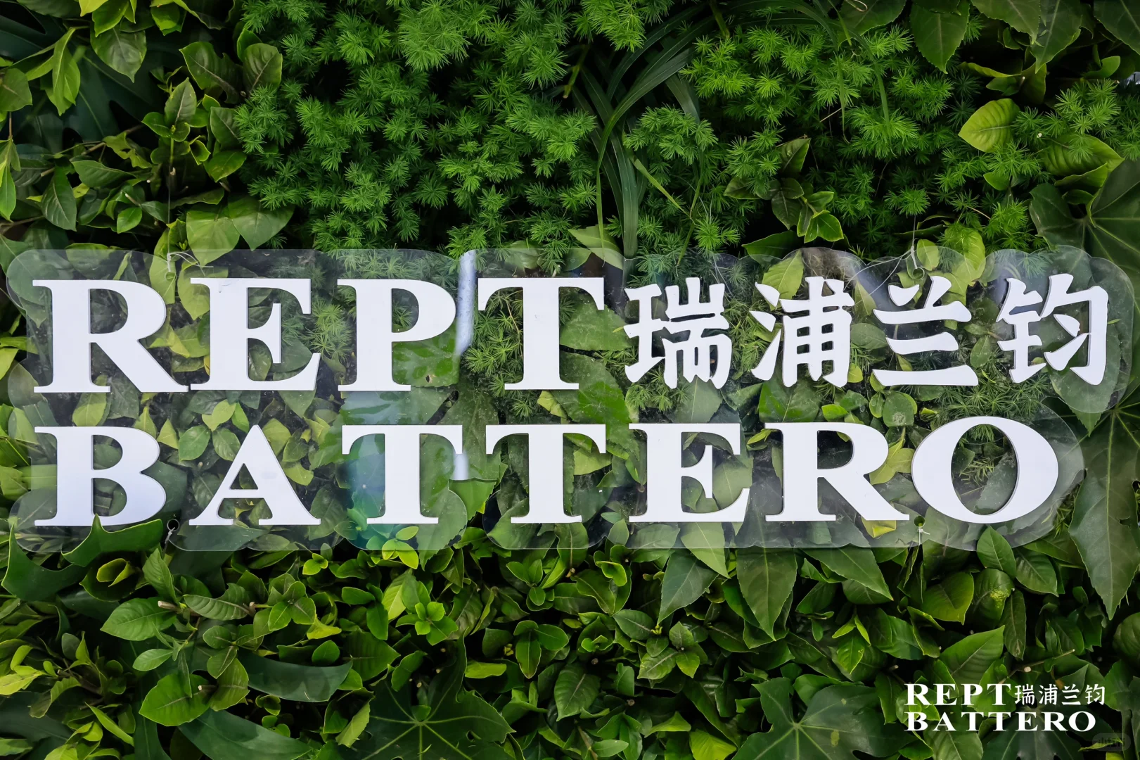 国际展会拍摄?