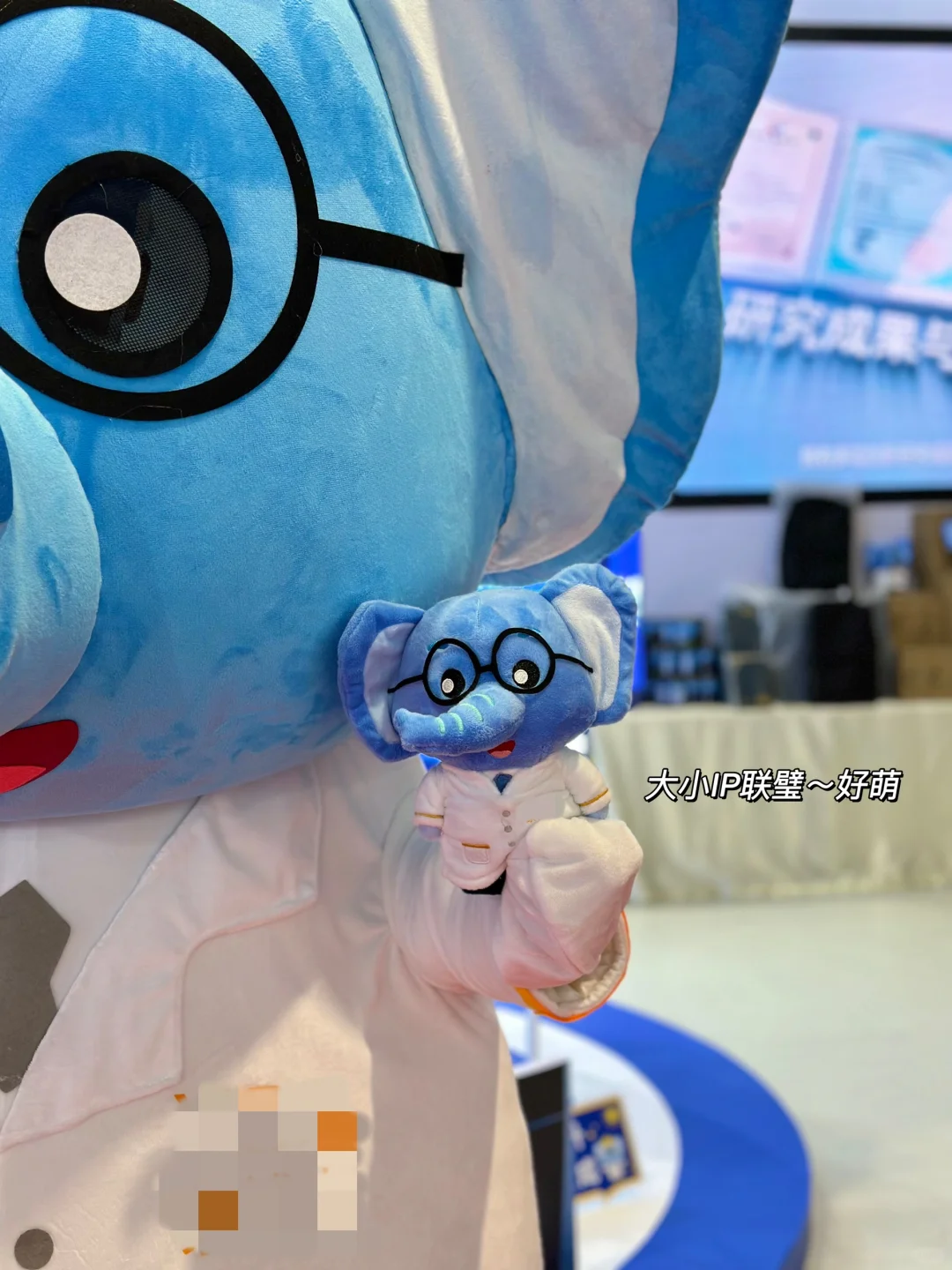 0经验首次策展不会写展会策划案‼️请照着抄